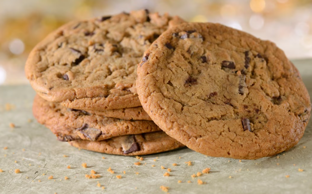 Floridian chocolate chip cookie