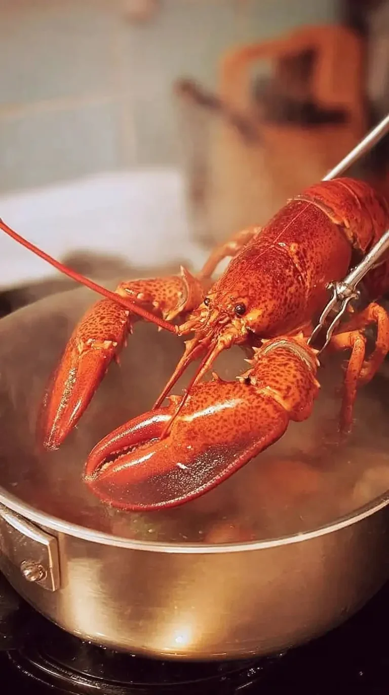 Homard cuit à l'eau bouillante, prêt à déguster avec des herbes et du beurre.