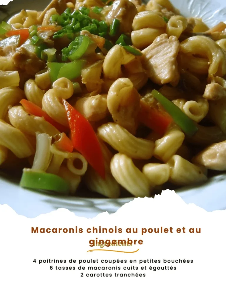 Macaronis chinois au poulet et au gingembre, un plat délicieux et réconfortant.