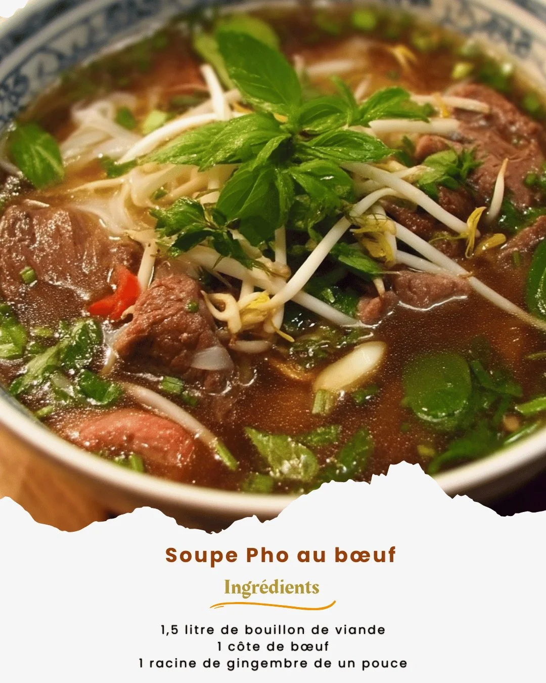 Bol de Soupe Pho au bœuf avec herbes fraîches et épices aromatiques.