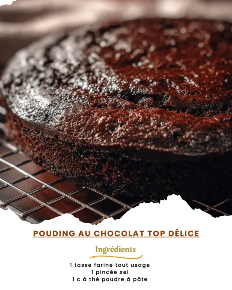Délicieux pouding au chocolat fait maison sur assiette