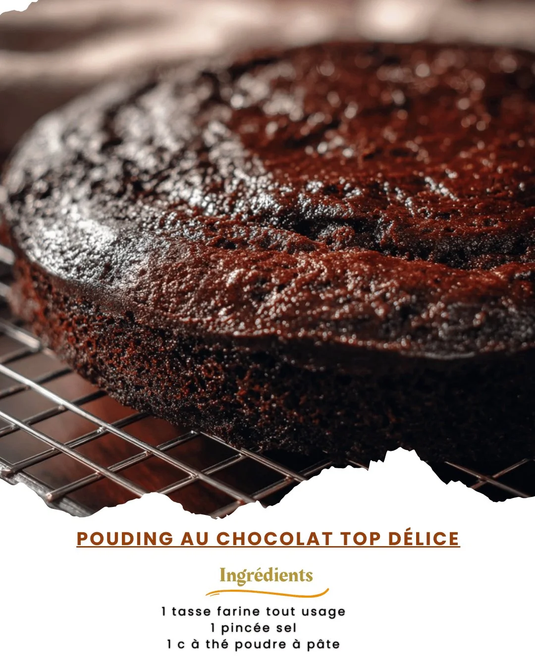 Délicieux pouding au chocolat fait maison sur assiette