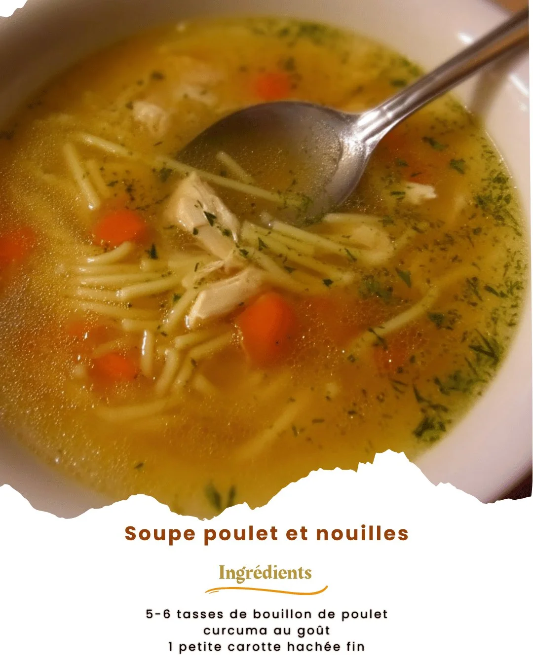 Un bol de soupe poulet et nouilles fumante prêt à être dégusté.