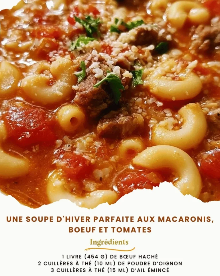Soupe d'hiver aux macaronis, bœuf et tomates servie dans un bol chaud.