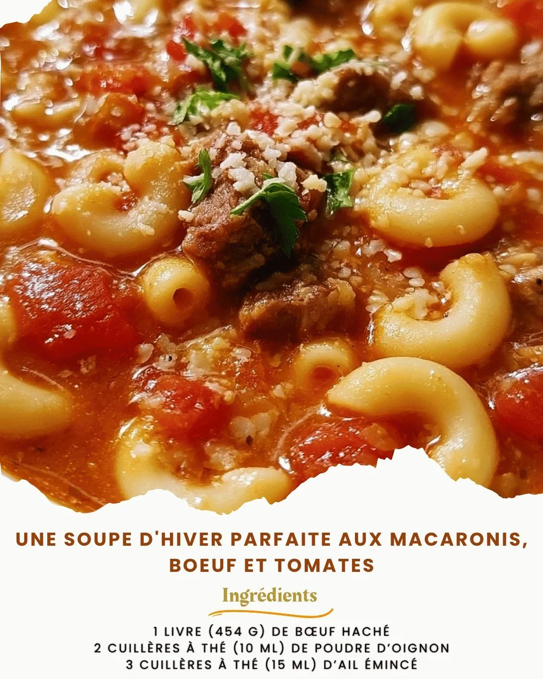 Soupe d'hiver aux macaronis, bœuf et tomates servie dans un bol chaud.